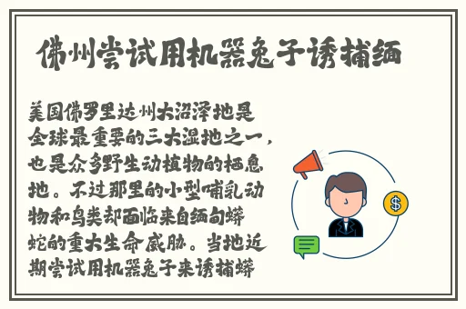 麻豆视频用页面打开